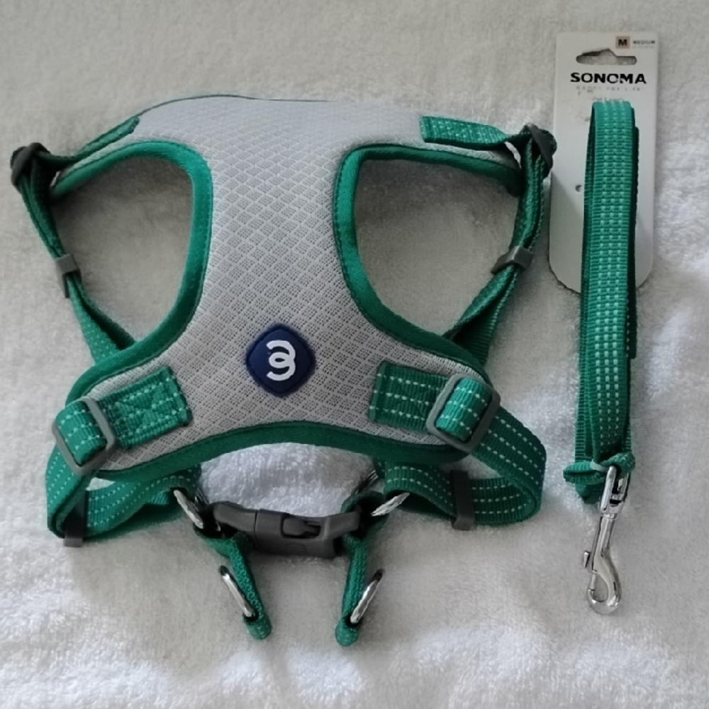 Sonoma Teal and Light Gray Dog Harness with Leash